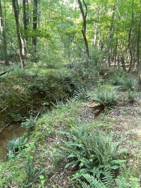 MLS #CAR4039643 image #35