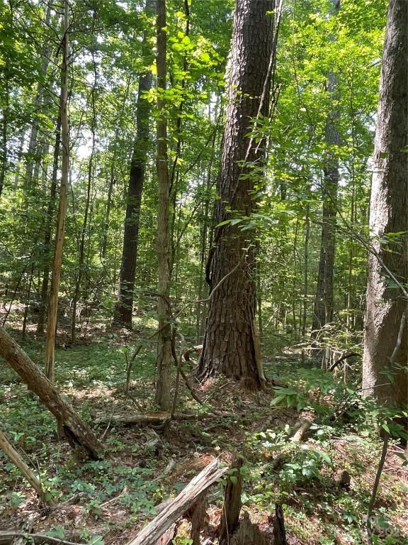 MLS #CAR4039643 image #4