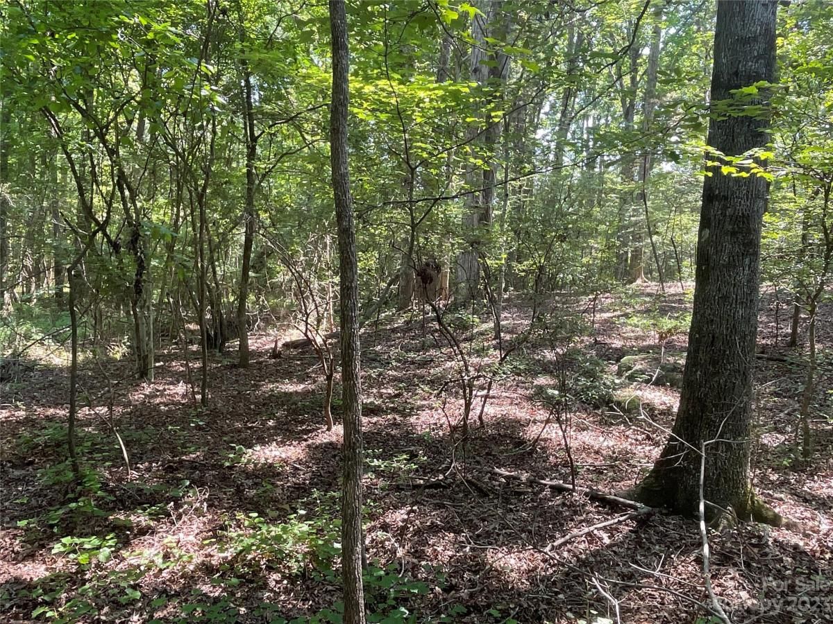 MLS #CAR4039643 image #10