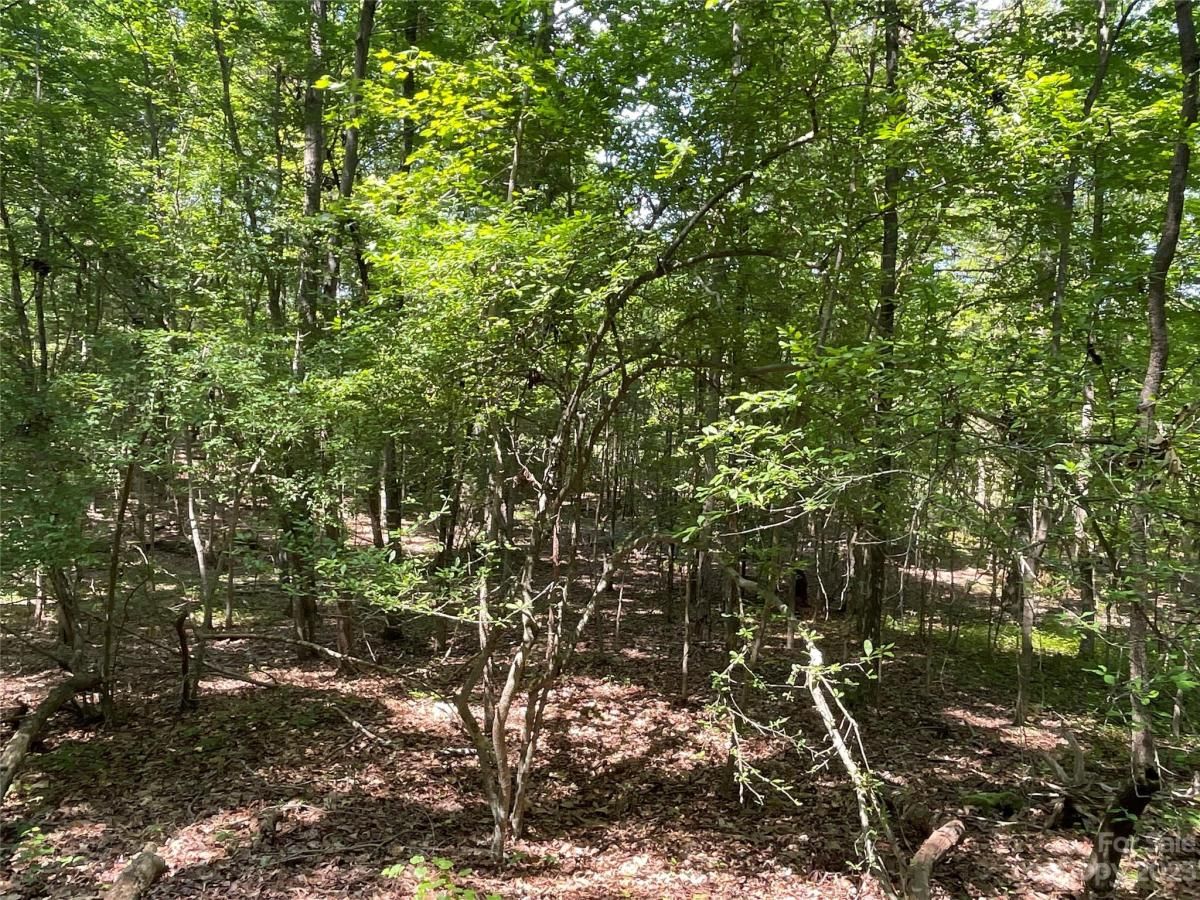 MLS #CAR4039643 image #11