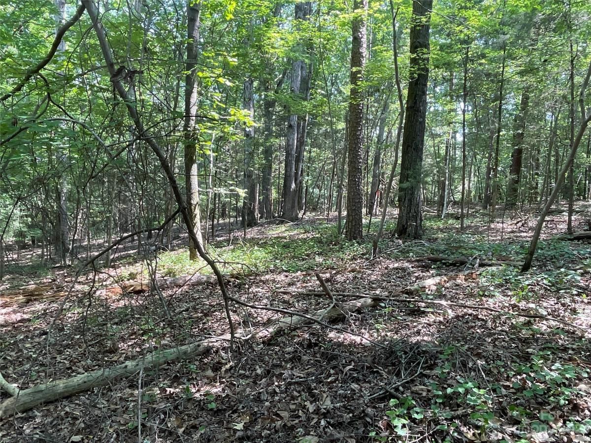 MLS #CAR4039643 image #12