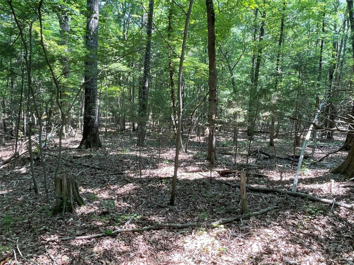 MLS #CAR4039643 image #13