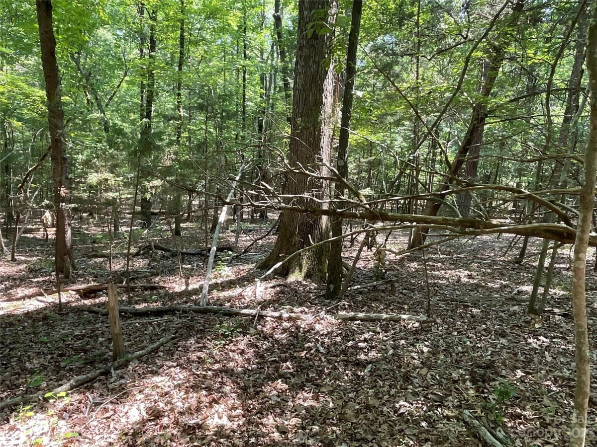 MLS #CAR4039643 image #14