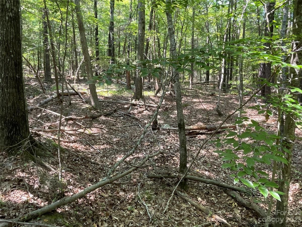 MLS #CAR4039643 image #15