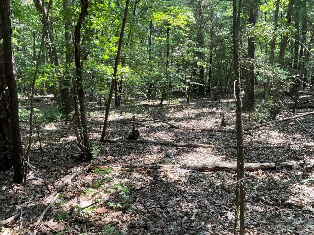 MLS #CAR4039643 image #16