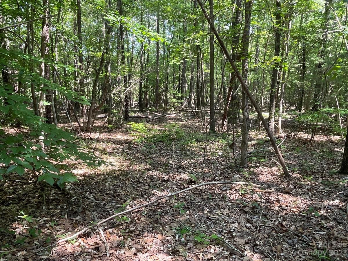 MLS #CAR4039643 image #17