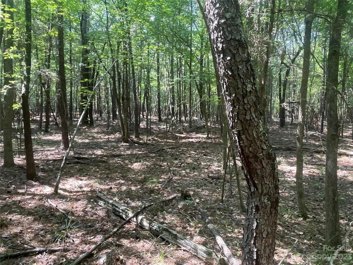 MLS #CAR4039643 image #18