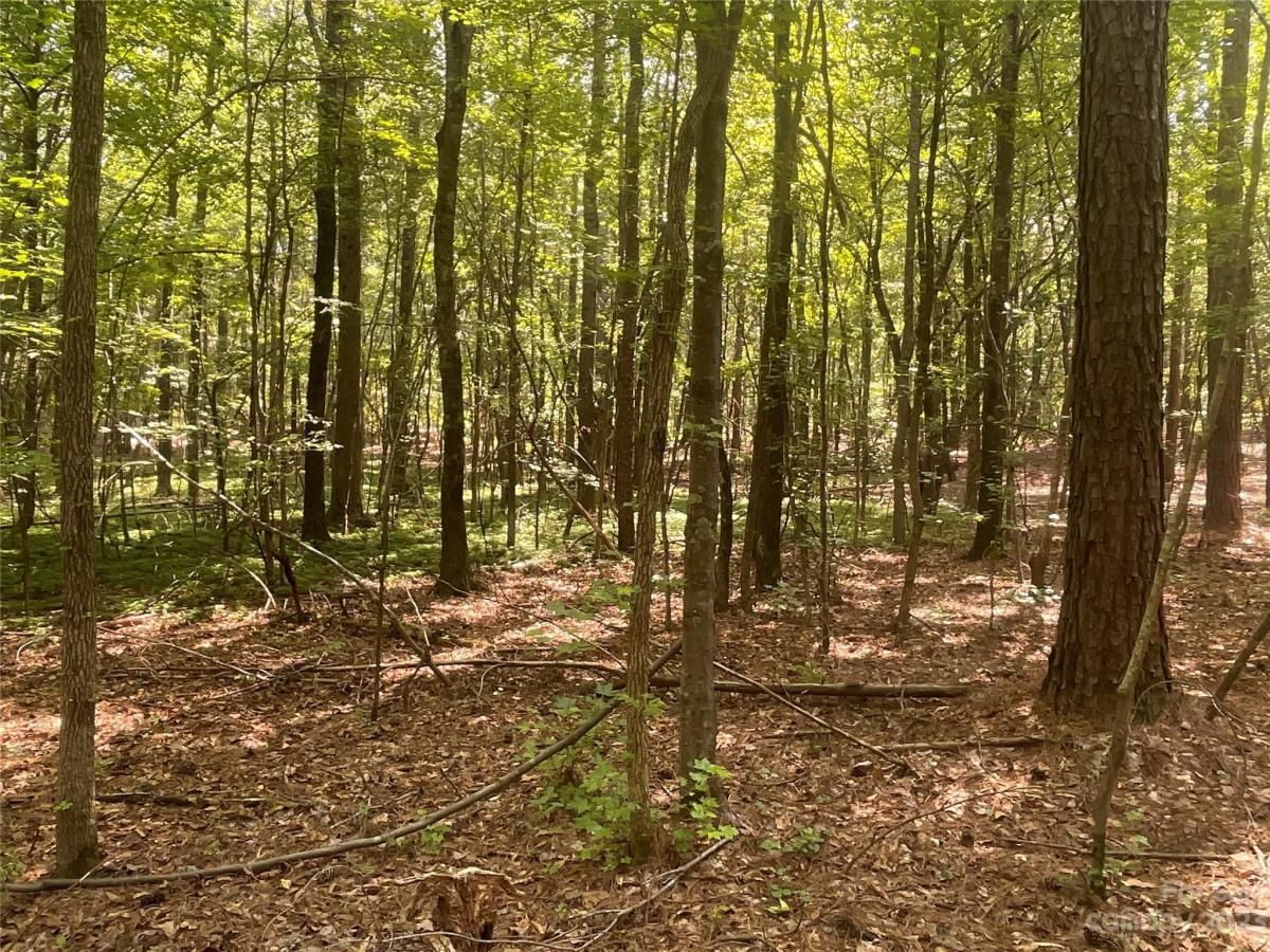 MLS #CAR4039643 image #19