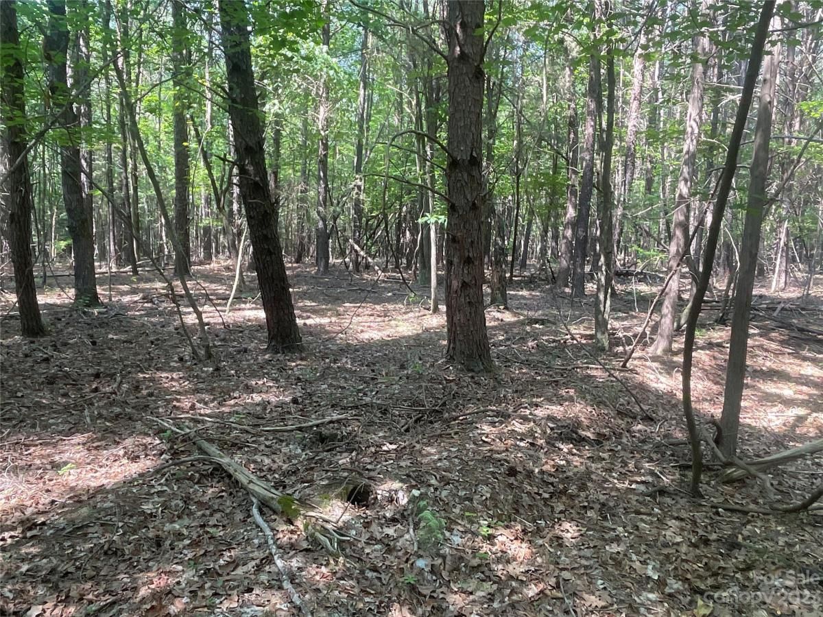 MLS #CAR4039643 image #20