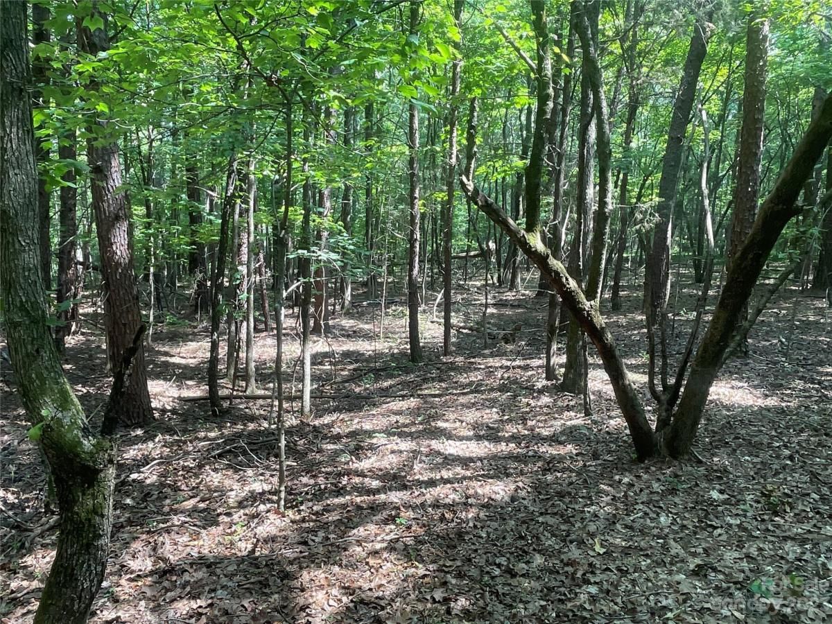 MLS #CAR4039643 image #21