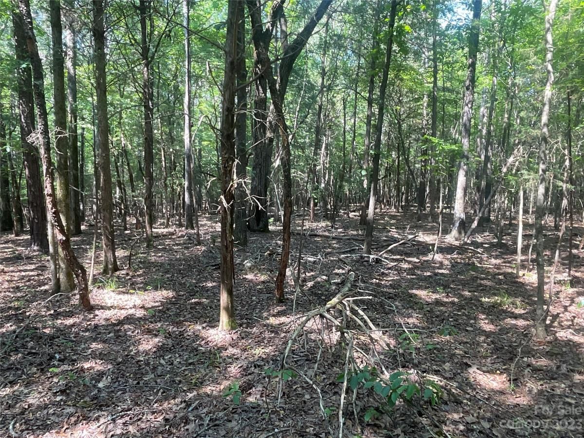 MLS #CAR4039643 image #22