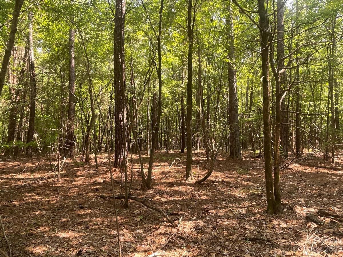 MLS #CAR4039643 image #23