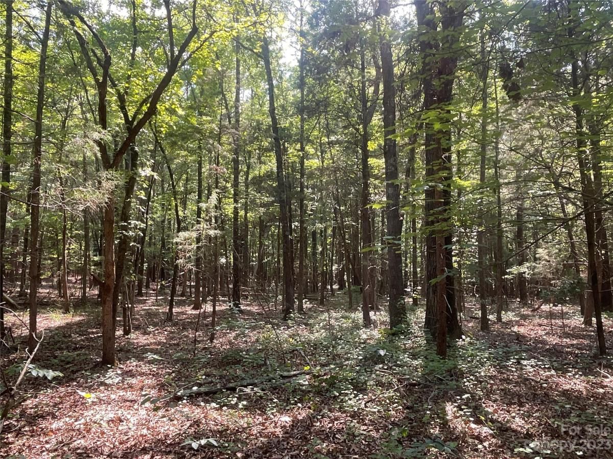 MLS #CAR4039643 image #24