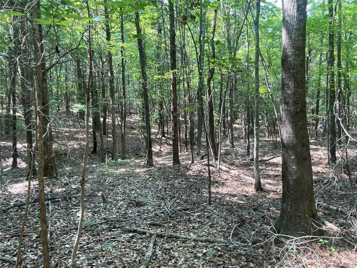 MLS #CAR4039643 image #25