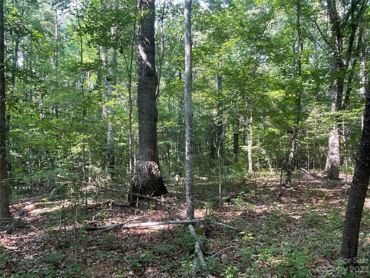 MLS #CAR4039643 image #26