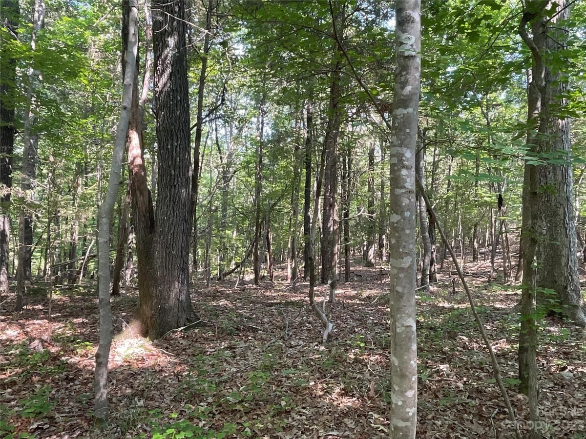 MLS #CAR4039643 image #27