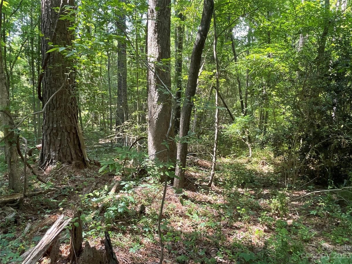 MLS #CAR4039643 image #5