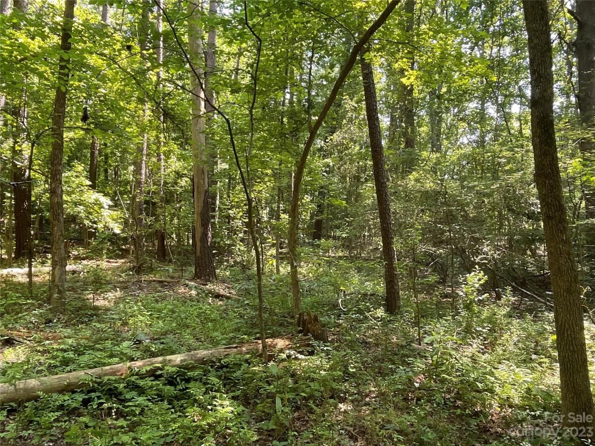 MLS #CAR4039643 image #6