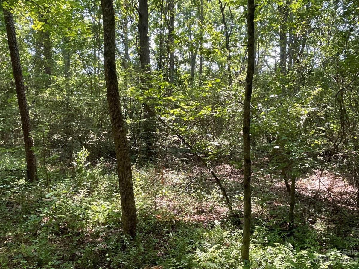 MLS #CAR4039643 image #7