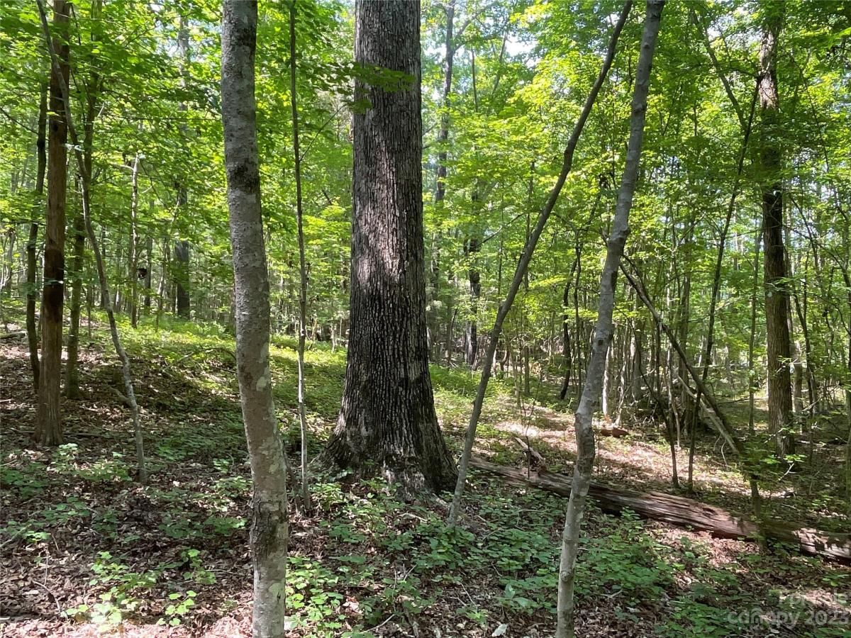 MLS #CAR4039643 image #8