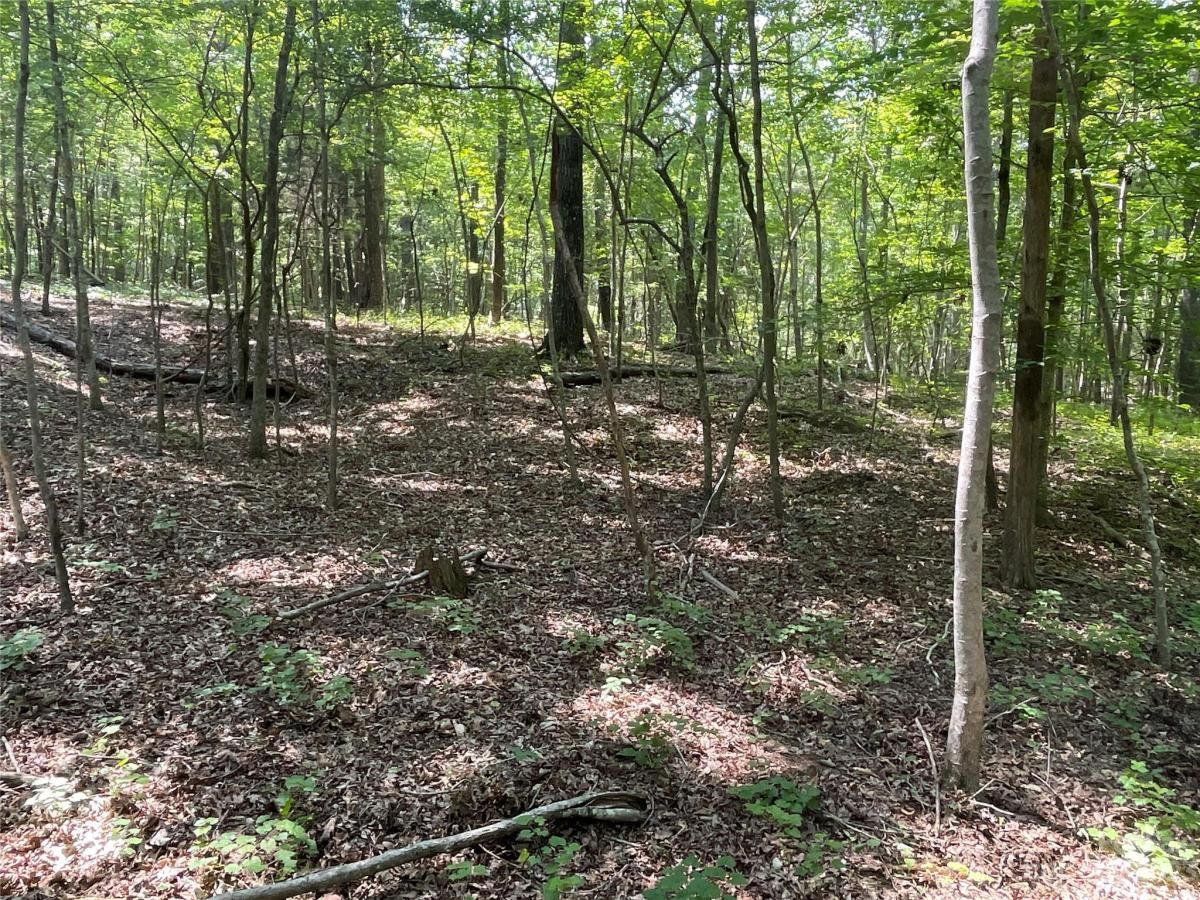 MLS #CAR4039643 image #9