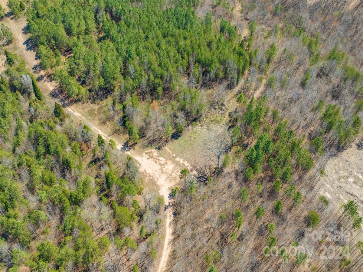 MLS #CAR4039698 image #11