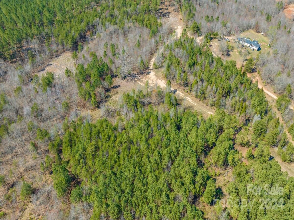 MLS #CAR4039698 image #13