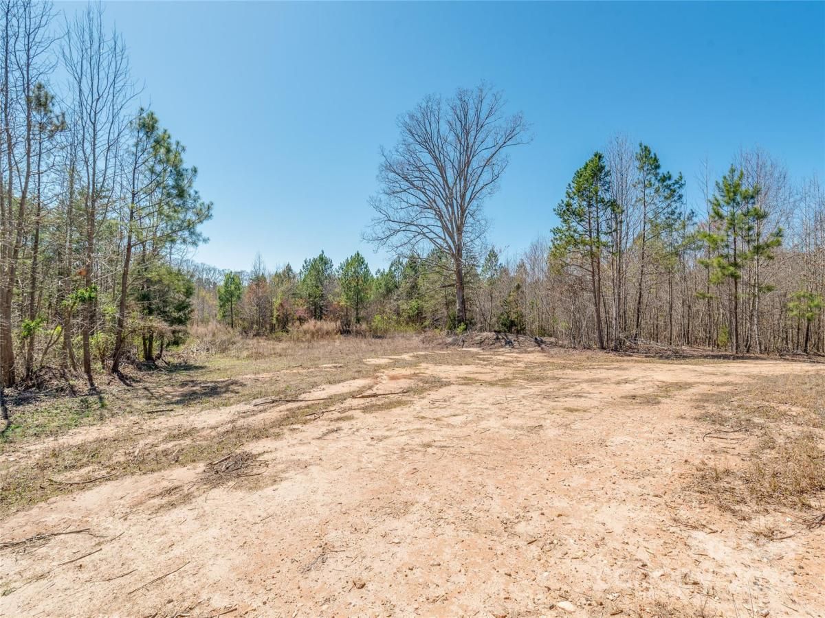 MLS #CAR4039698 image #15