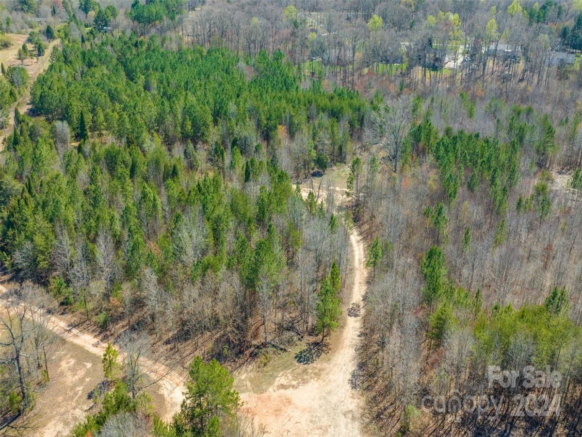 MLS #CAR4039698 image #4