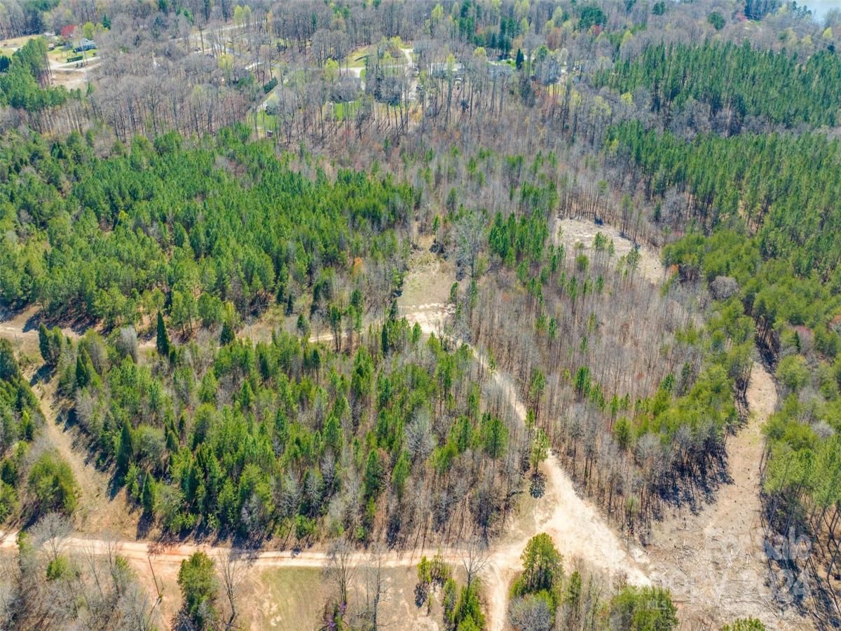 MLS #CAR4039698 image #6