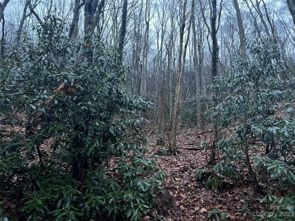 MLS #CAR4039928 image #0