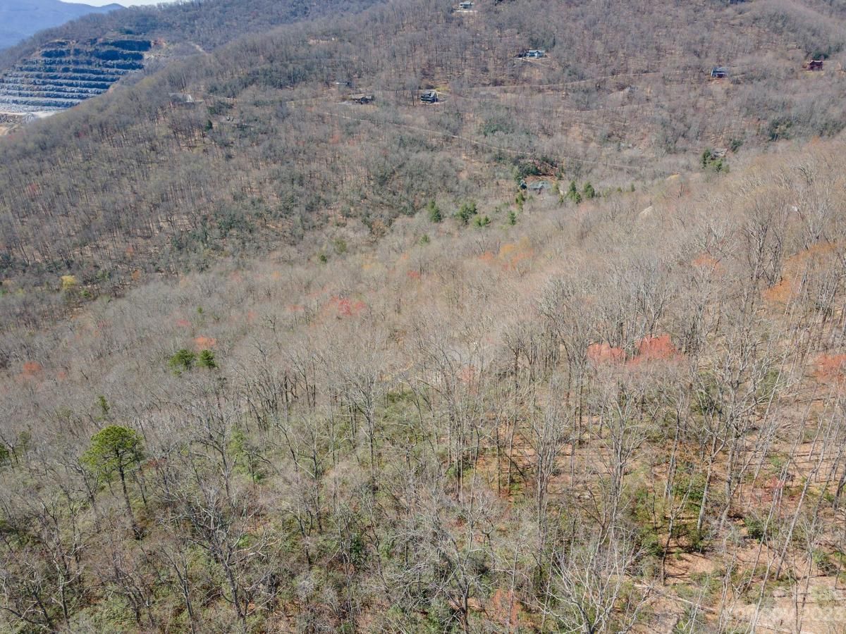 MLS #CAR4039952 image #19