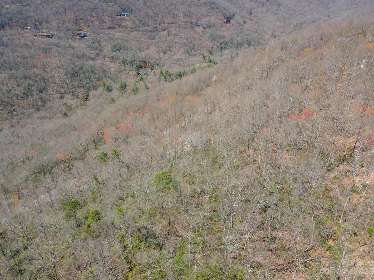 MLS #CAR4039952 image #20