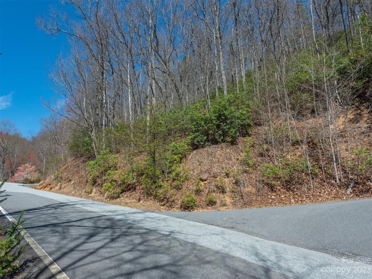 MLS #CAR4039952 image #28