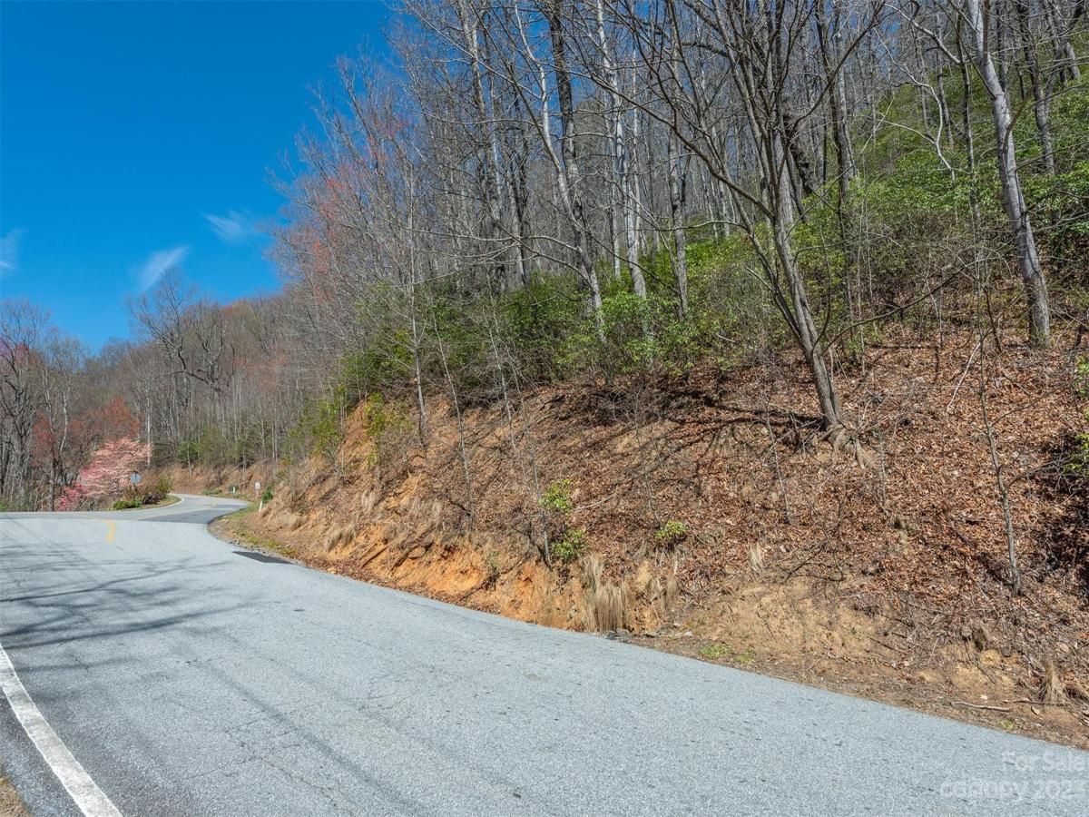 MLS #CAR4039952 image #29