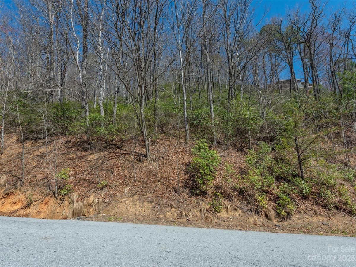 MLS #CAR4039952 image #30