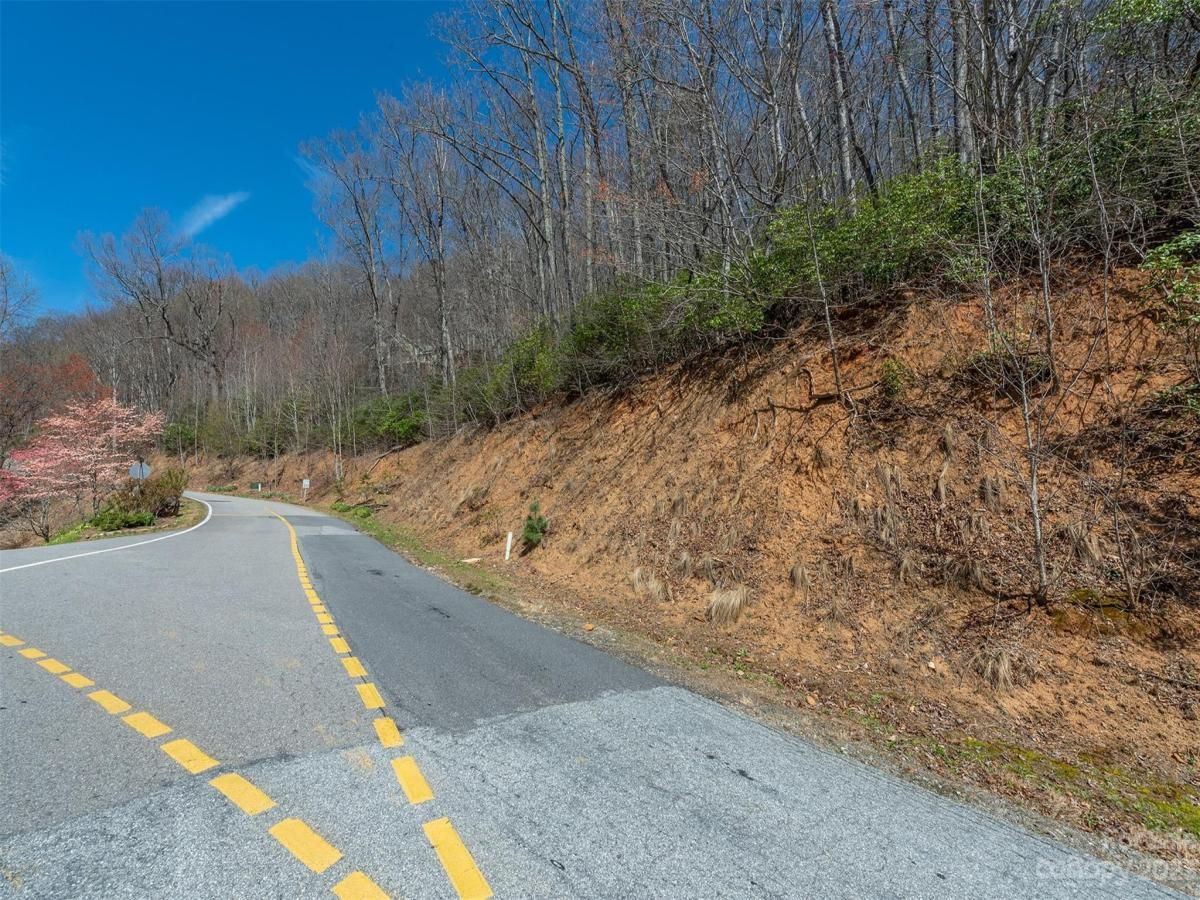 MLS #CAR4039952 image #32