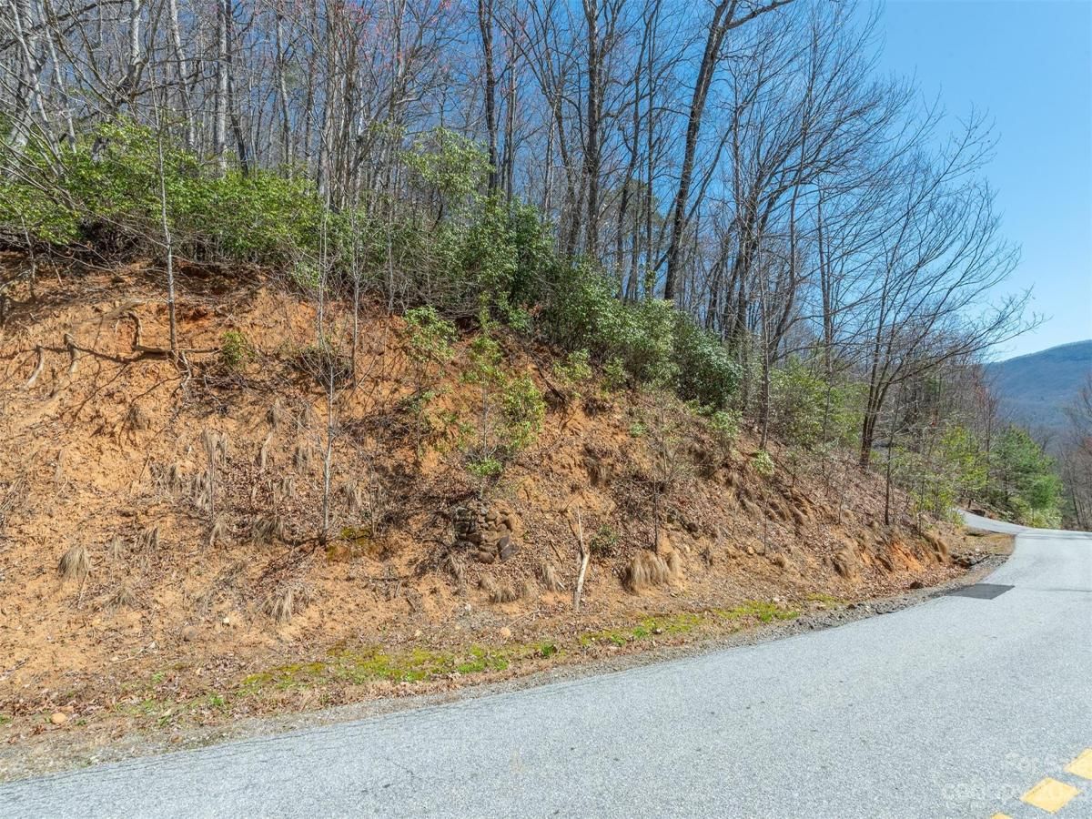 MLS #CAR4039952 image #33