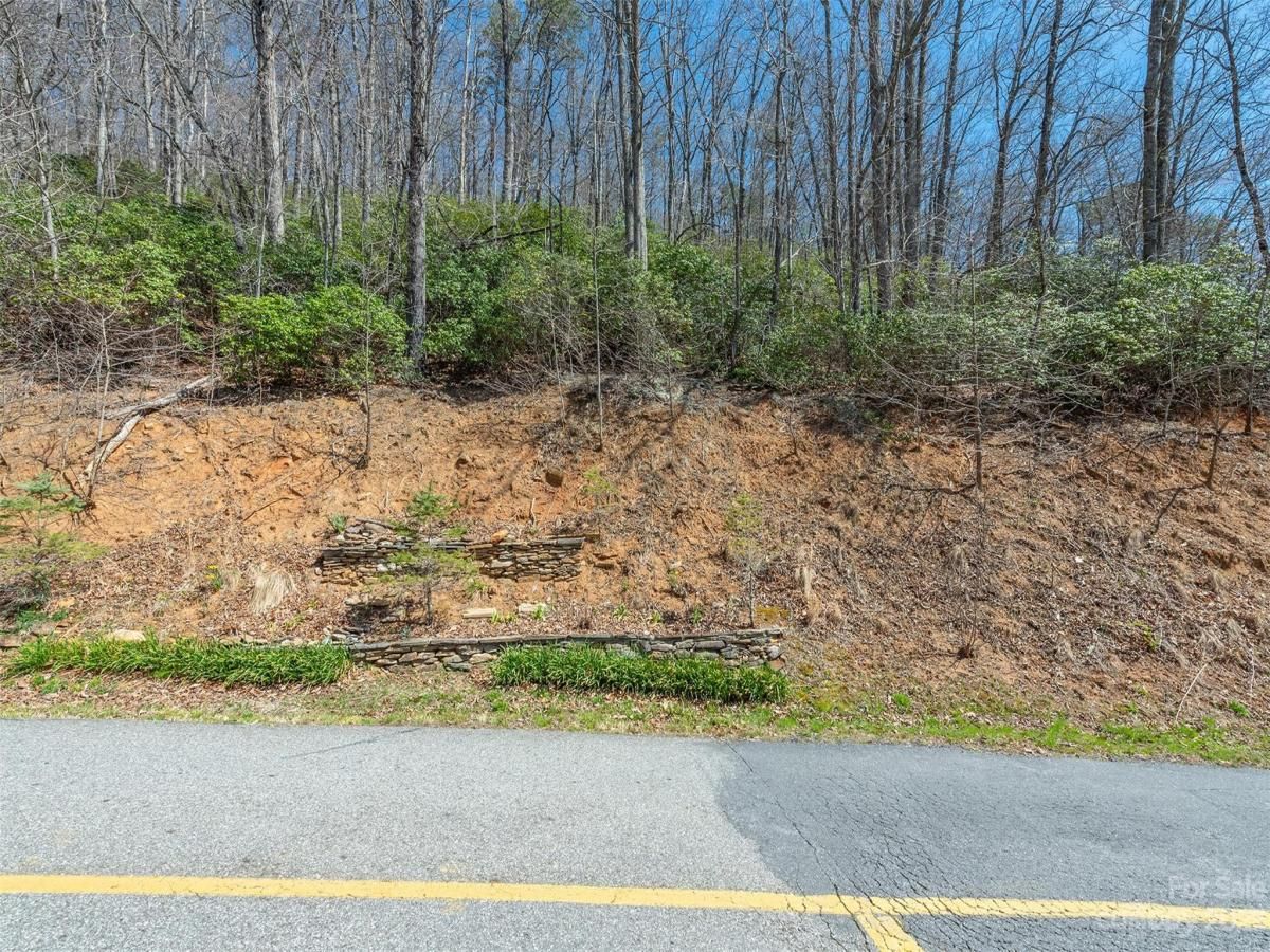 MLS #CAR4039952 image #37