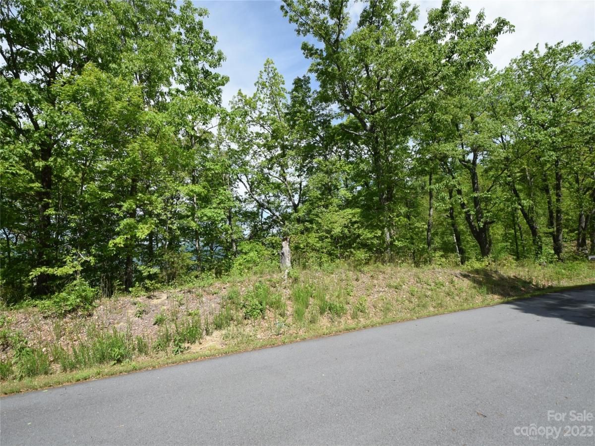 MLS #CAR4040279 image #10