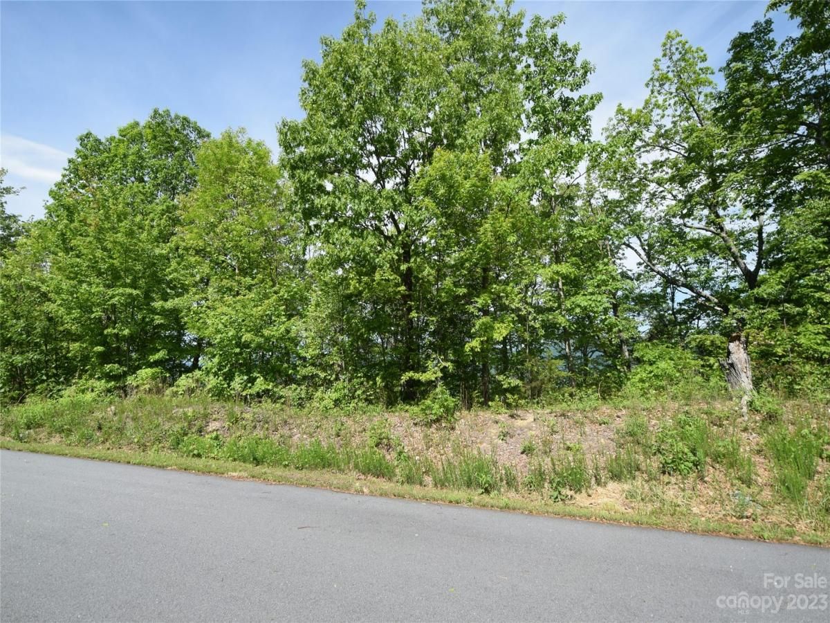 MLS #CAR4040279 image #11