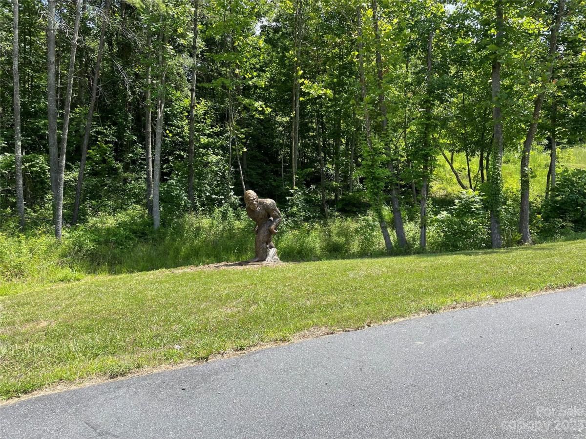 MLS #CAR4040279 image #15