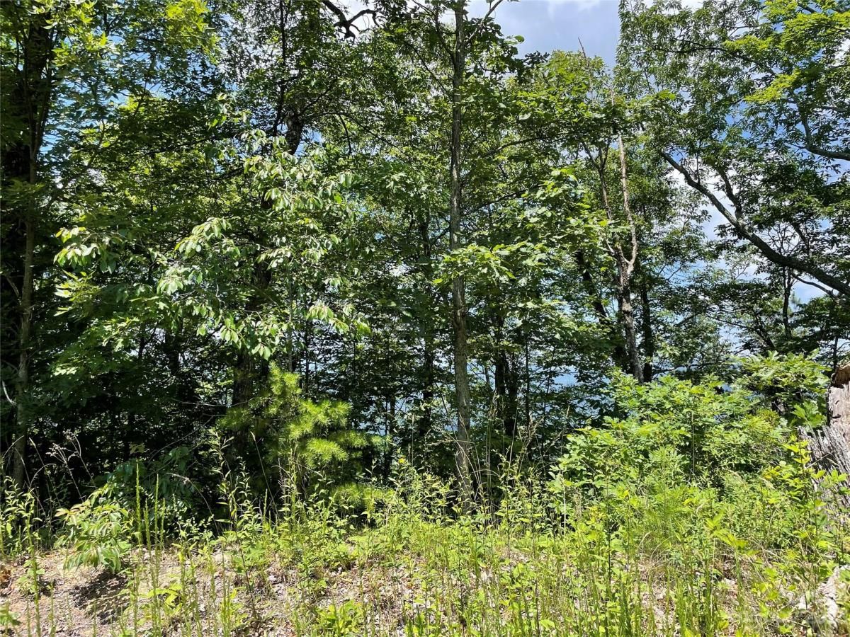 MLS #CAR4040279 image #18