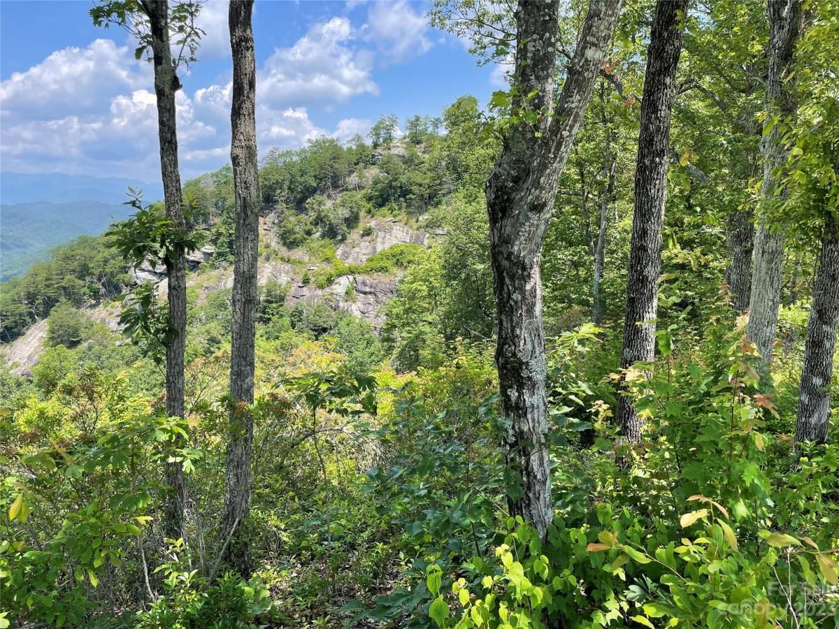 MLS #CAR4040279 image #22