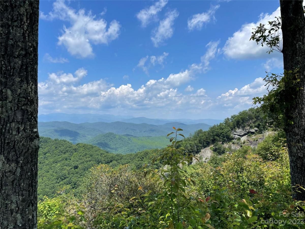 MLS #CAR4040279 image #26