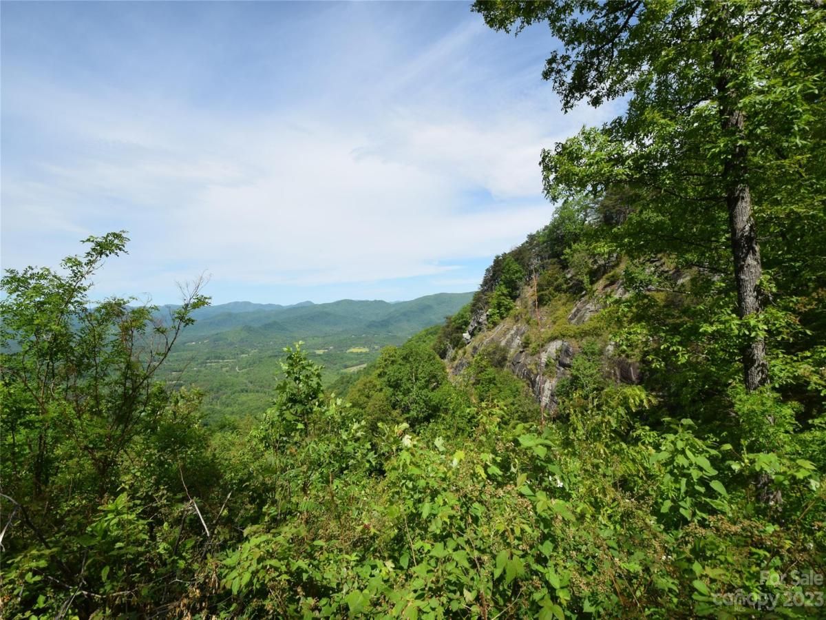 MLS #CAR4040279 image #8