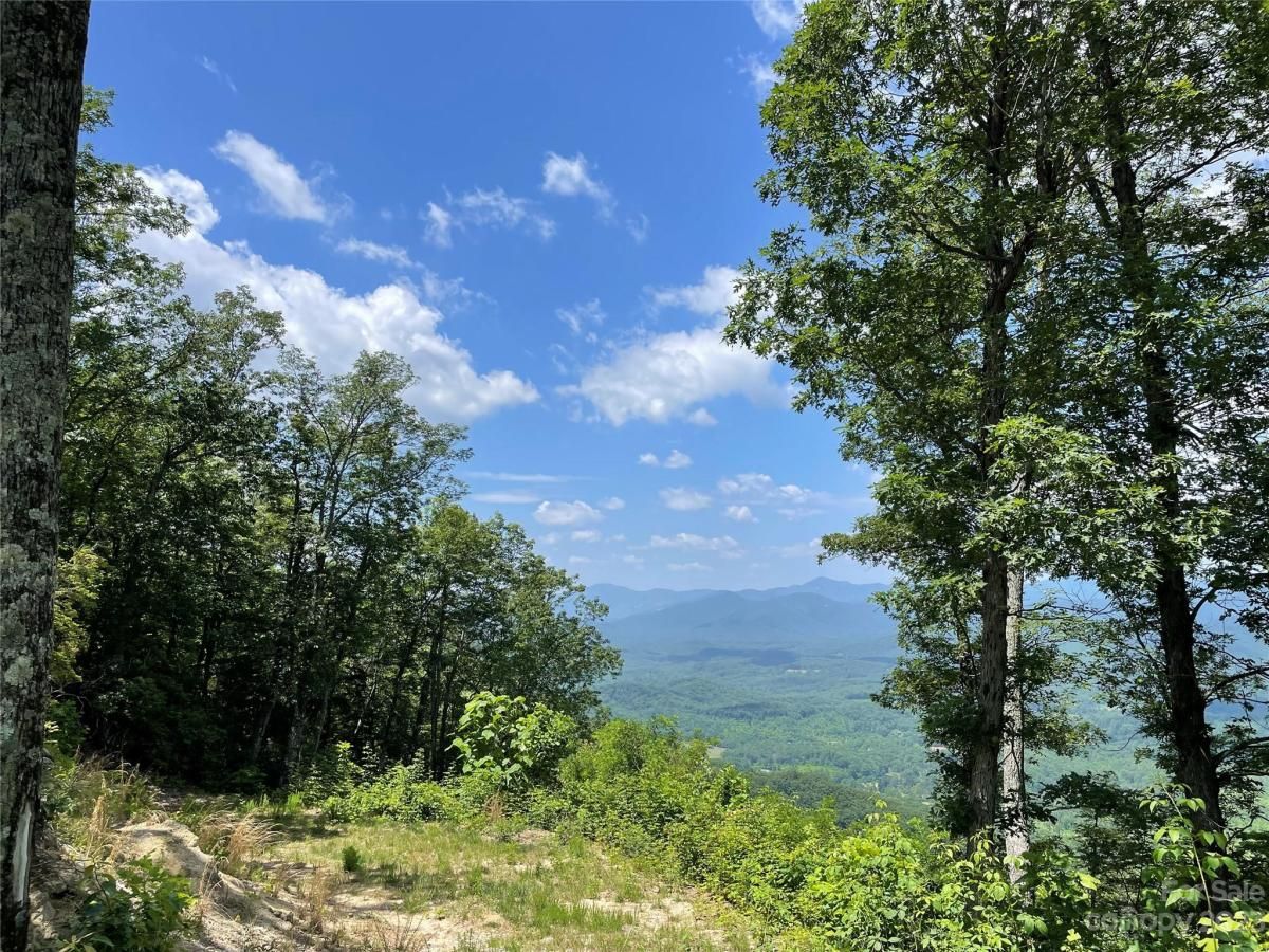 MLS #CAR4040298 image #1