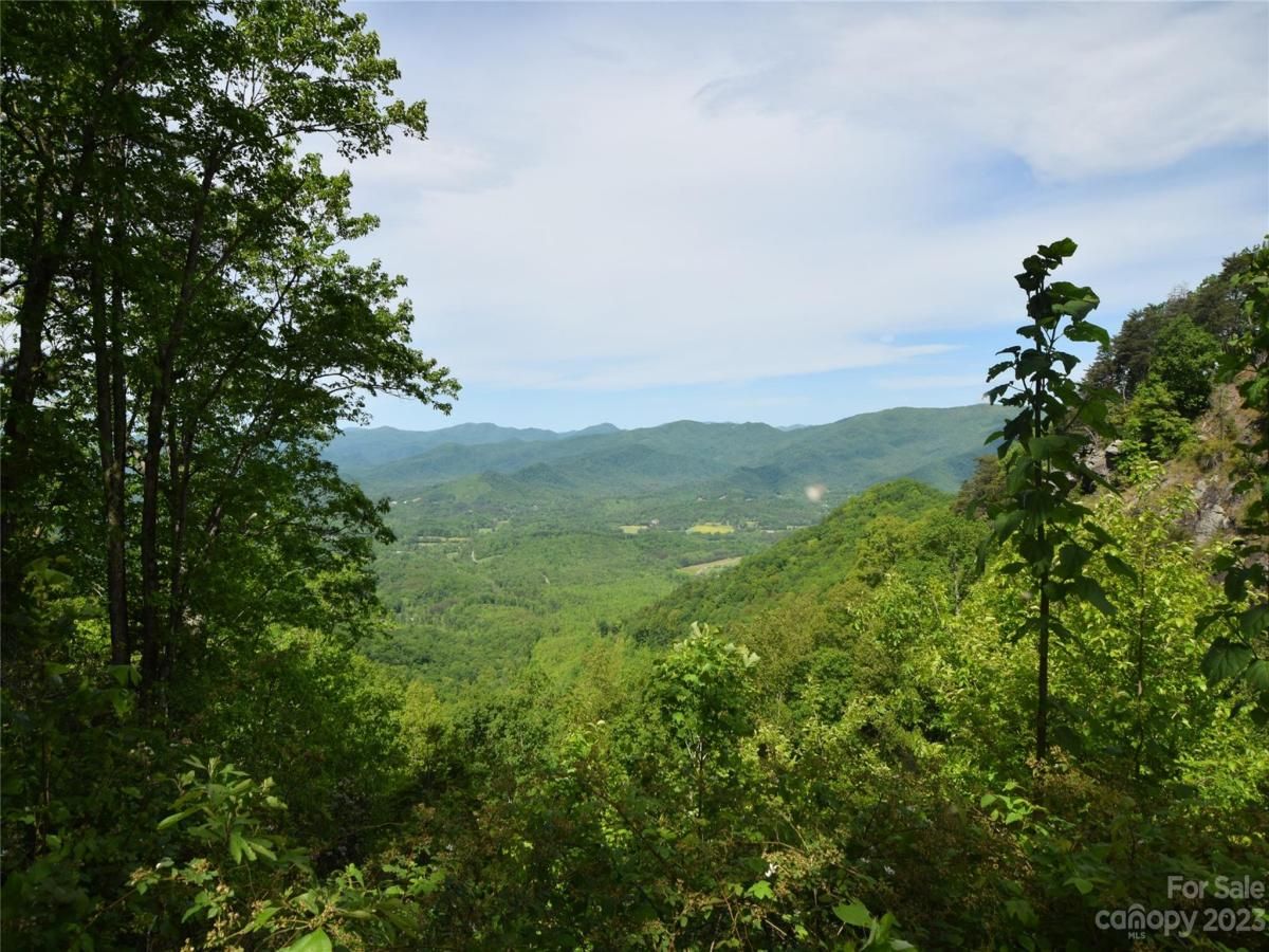 MLS #CAR4040298 image #10