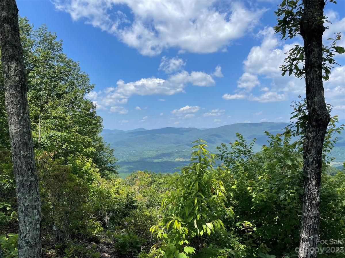 MLS #CAR4040298 image #22