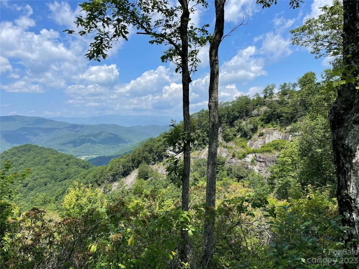 MLS #CAR4040298 image #24